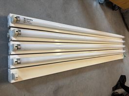 5 Stk. Lichtleisten/ Fassung , 4 Philips Leuchtstoffröhren