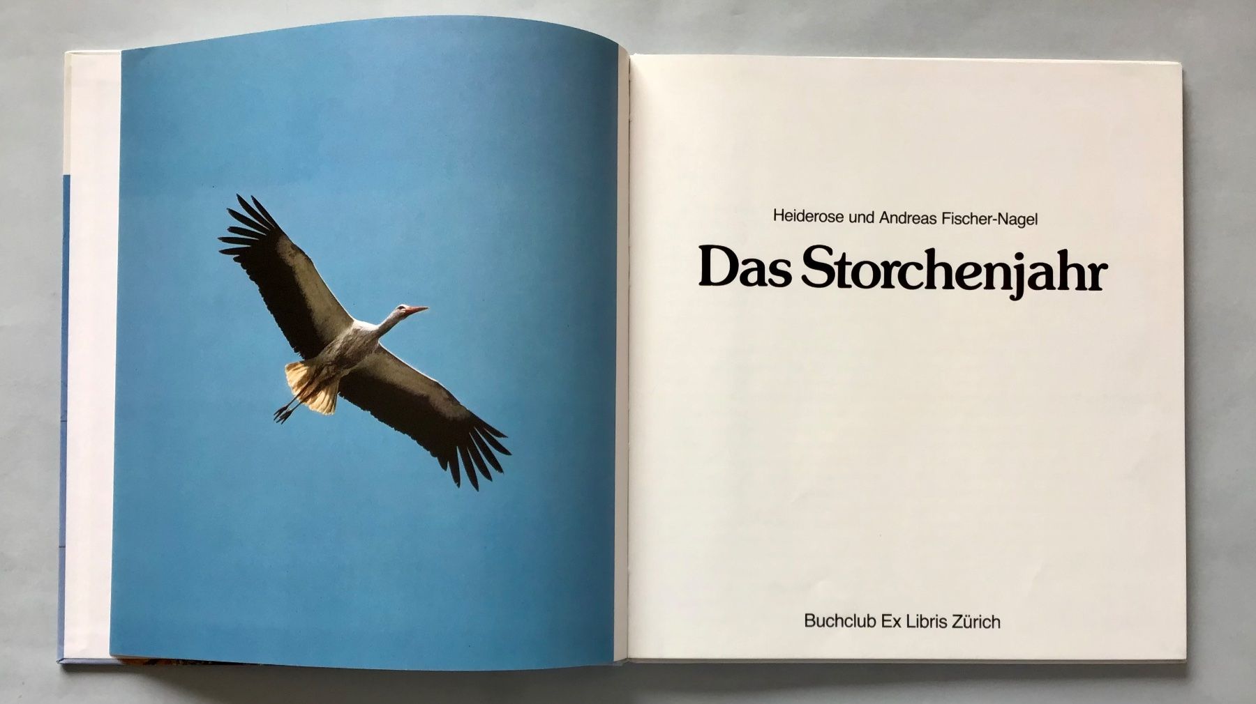 Libri: Fotobuch: Das Storchenjahr – Nuovo (secondo la descrizione) da Bubendorf venduto da Alpenheidi 2