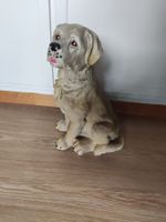 Hund Sitzend