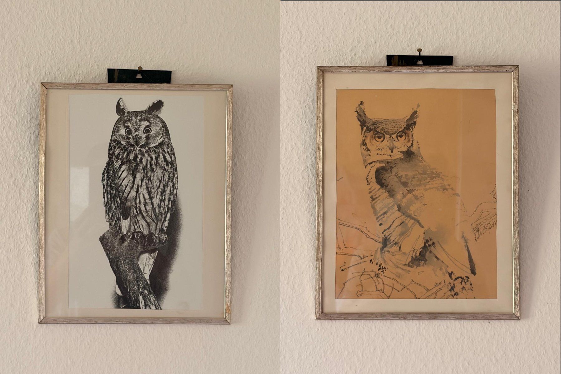Tutte le decorazioni: Eulensammlung – Usato da Würenlos venduto da baslerdybli01 2