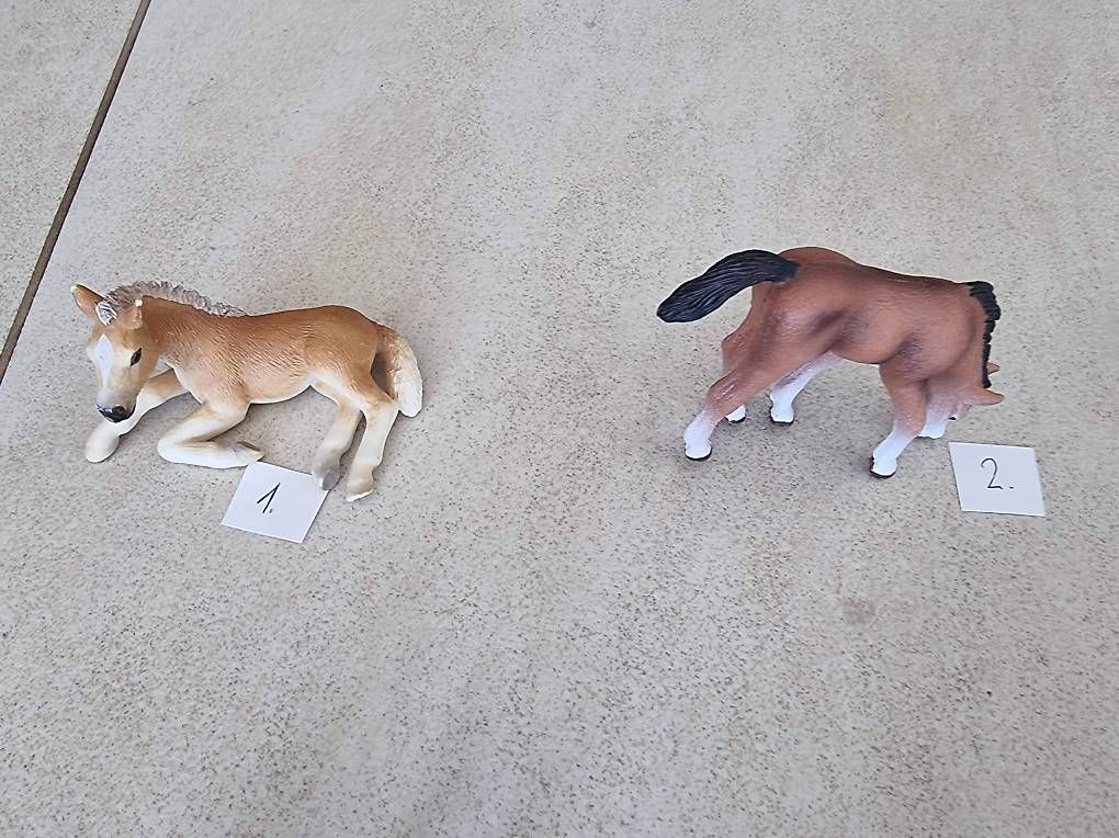 Schleich Giocattoli: Schleich Fohlen – Usato da Ortschwaben venduto da Patrick1978 1