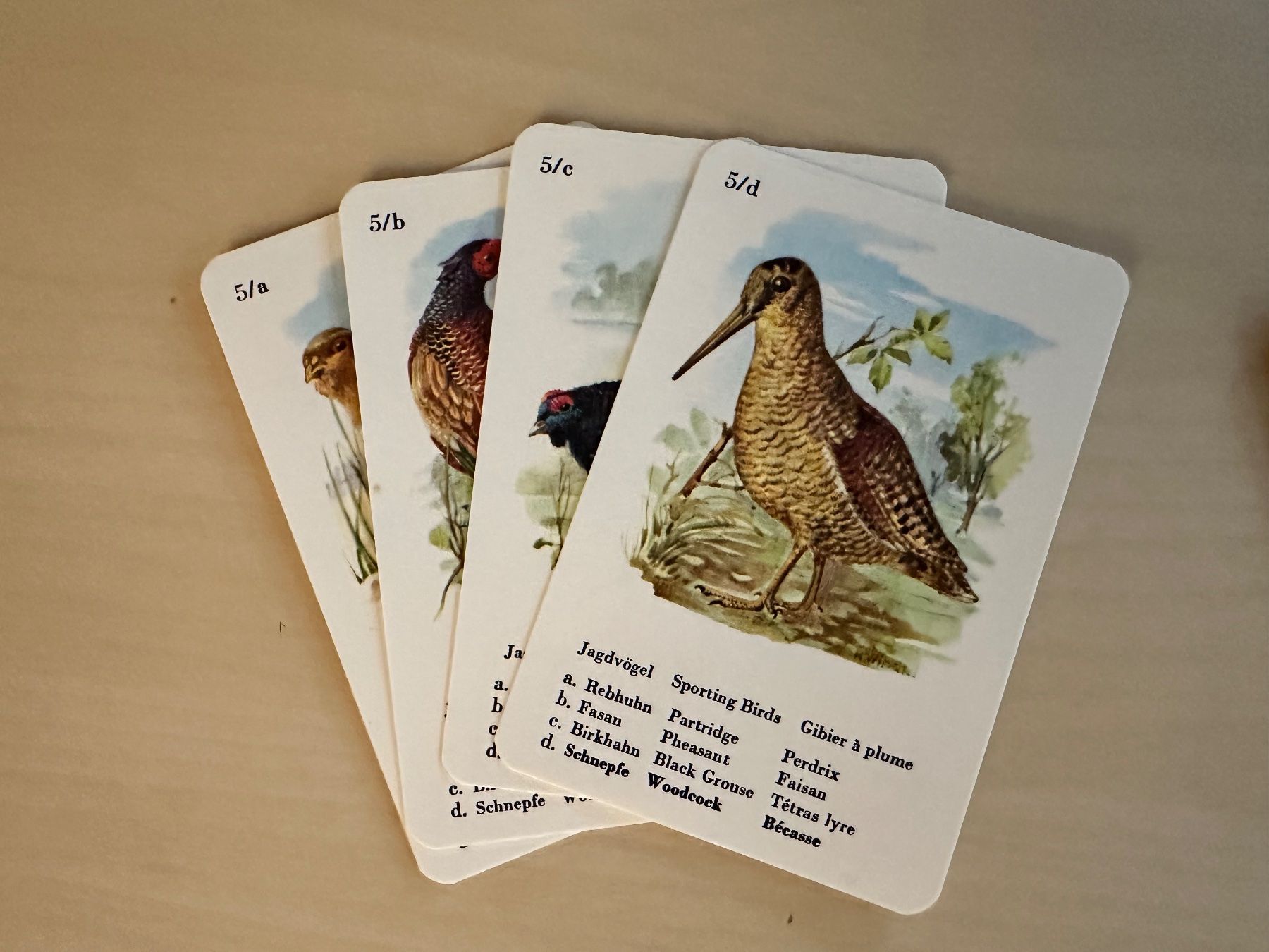 Giochi: Quartett Heimische Vogelwelt – Usato da Bülach venduto da Jubet 4