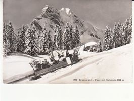 Braunwald 1956