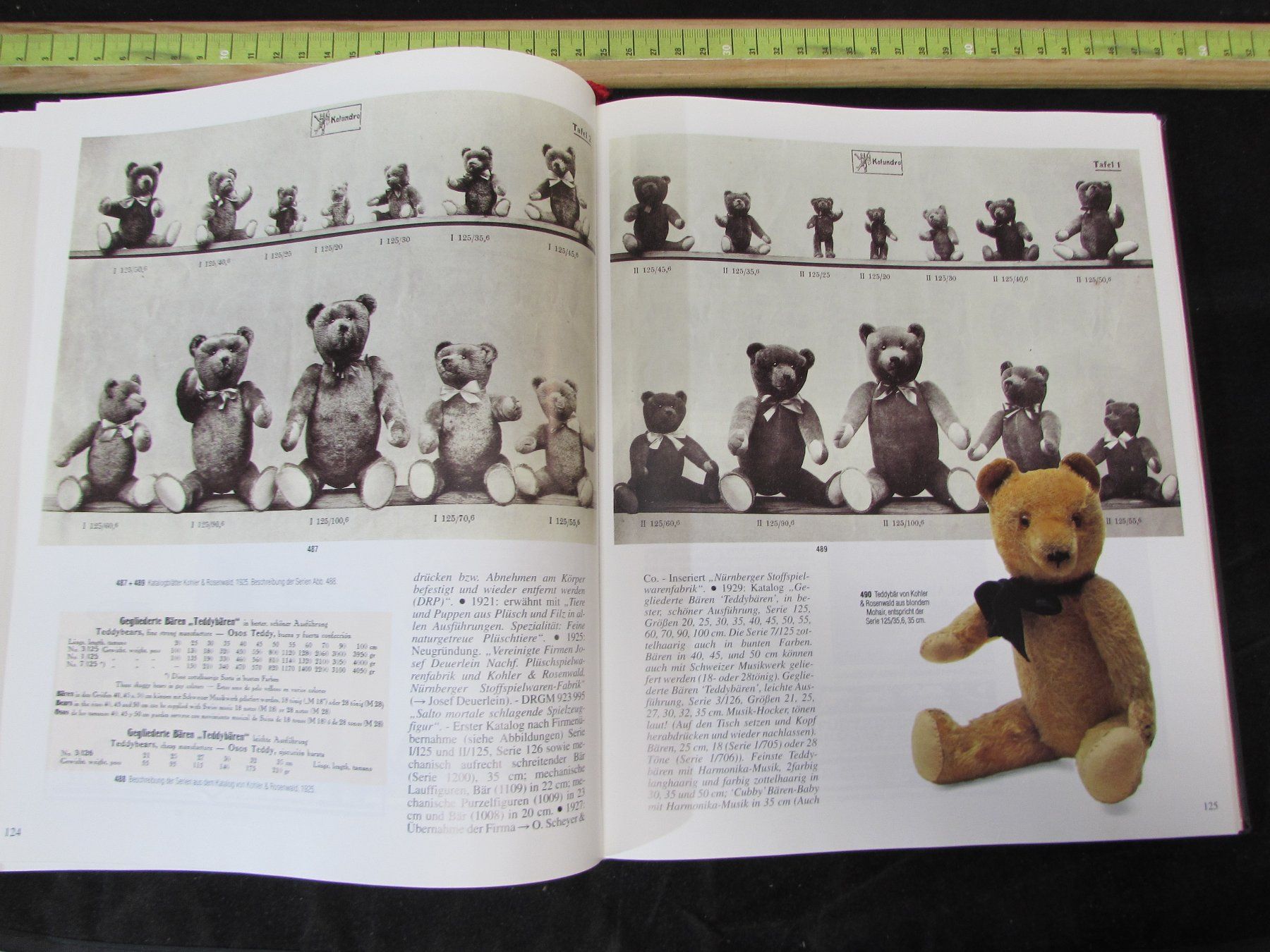 Bücher: Teddy-Bär sammeln – Gebraucht aus Walchwil von Shells1 9