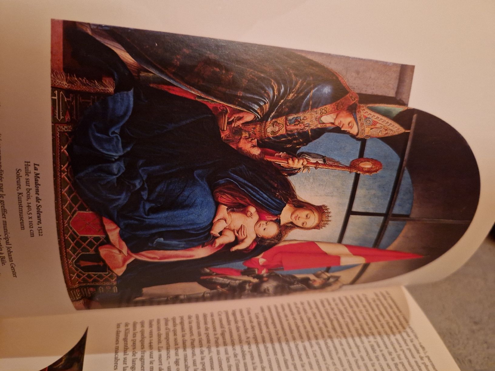Livres: Holbe'in Norbert Wolf – D'occasion à Blignou (Ayent) par Mazikeen 2