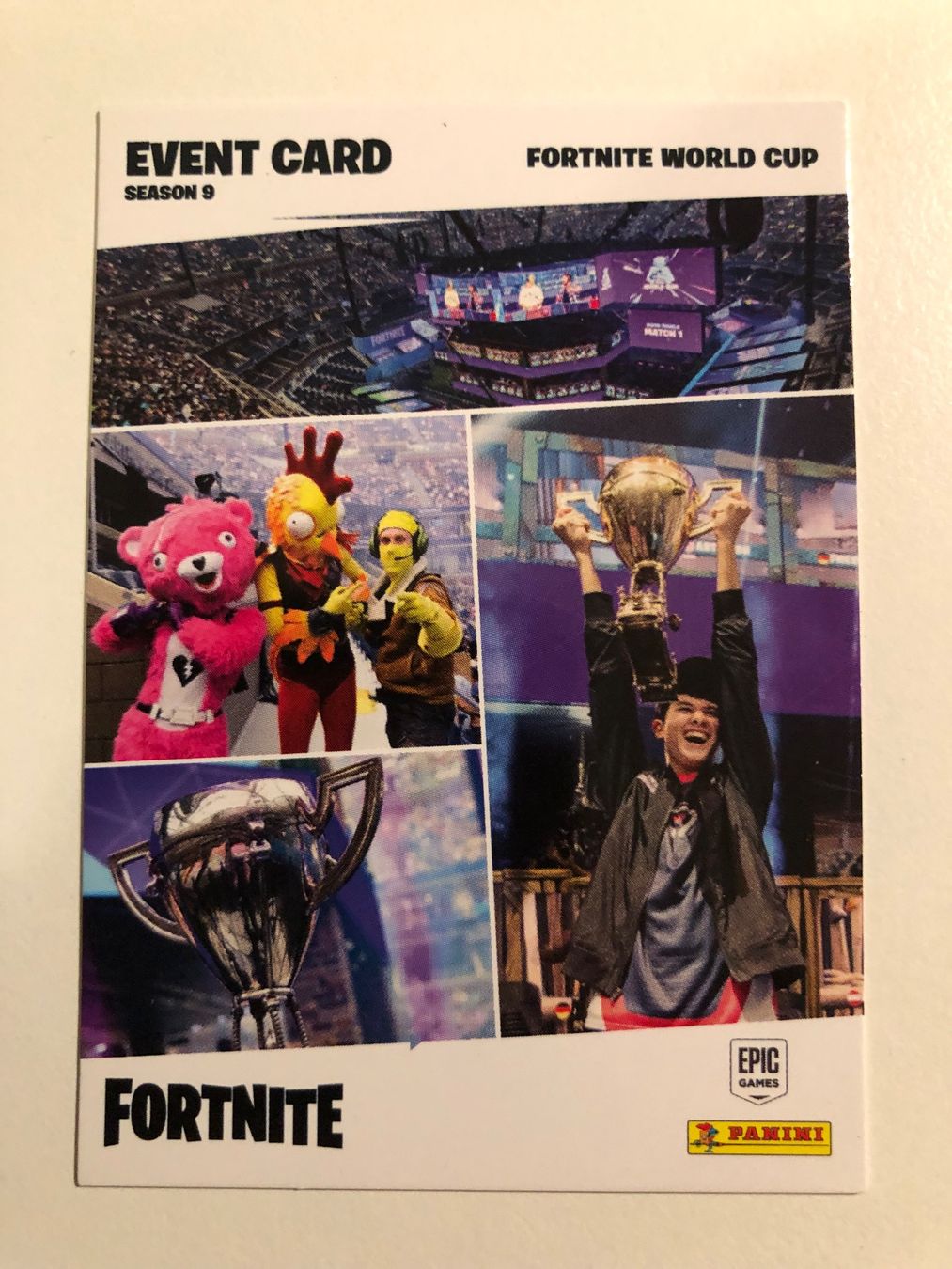 Panini Carte collezionabili: Fortnite World Cup 206 Fortnite – Usato da Eschlikon TG venduto da 1.-