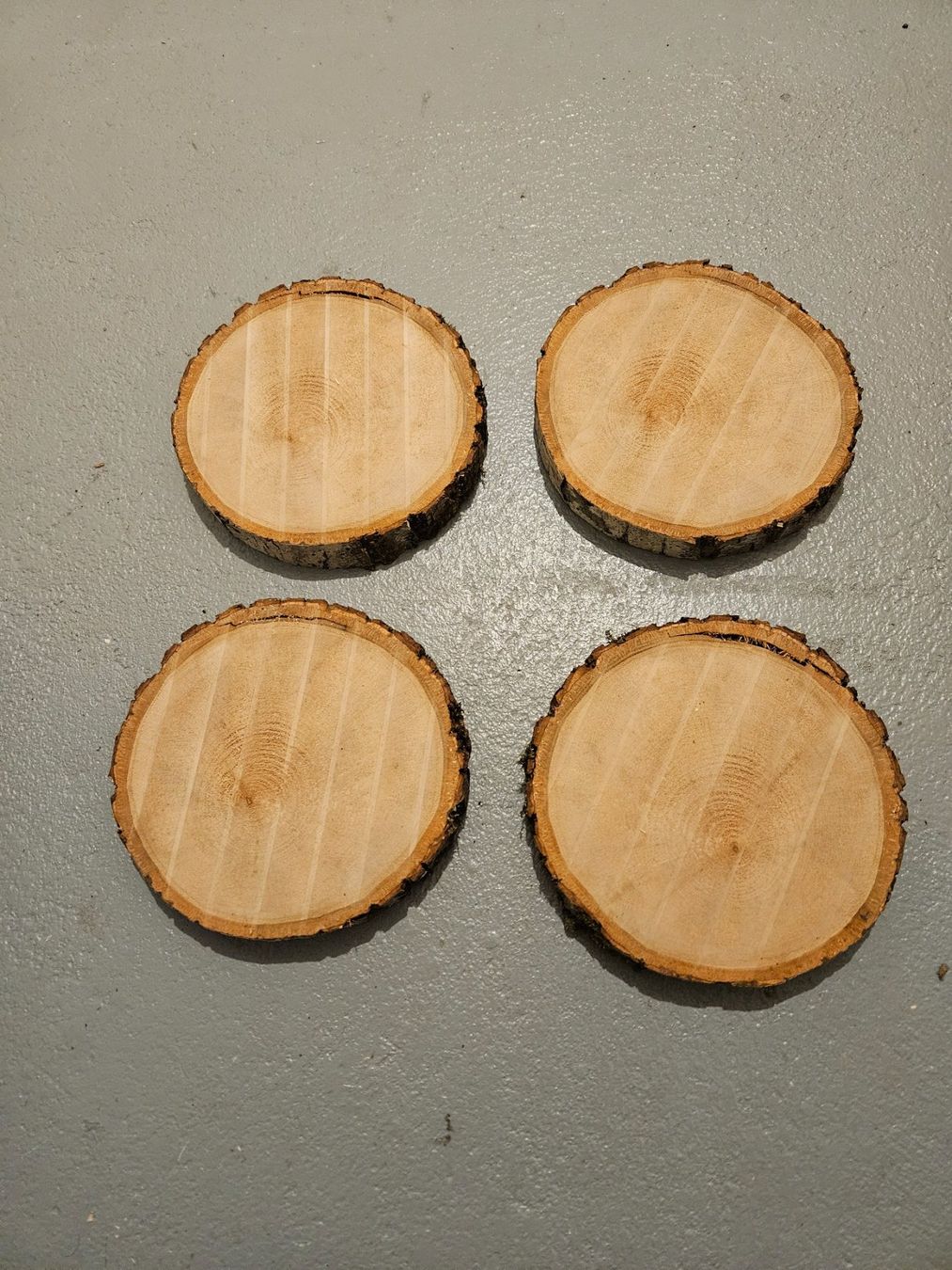 Articoli in legno: Holzscheiben/Baumscheiben – Nuovo (secondo la descrizione) da Brunnen venduto da kent03 1