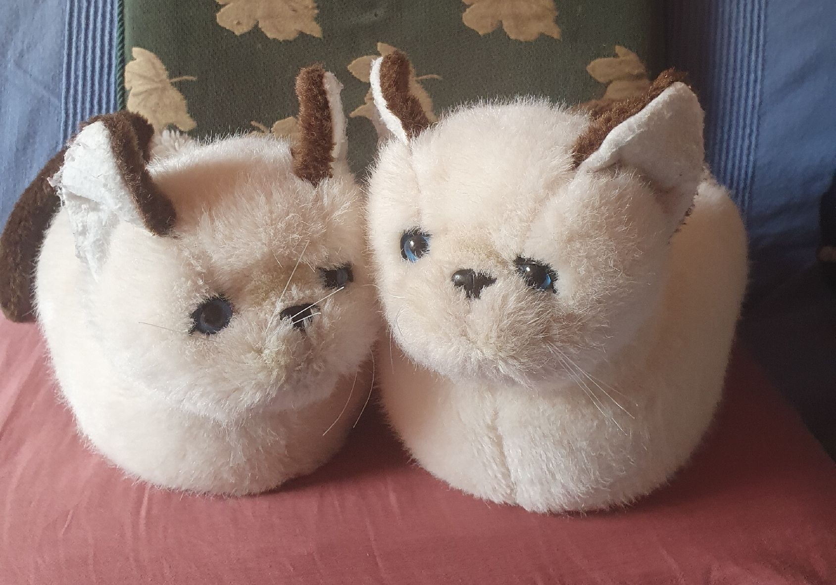 Scarpe da donna: Pantoufle chat 36-38 – Usato da Botyre (Ayent) venduto da Viperine