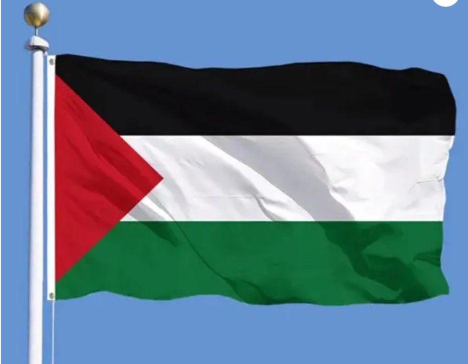 Palästina Flagge 150 X 90 Cm + 6*Palästina Flagge Pin