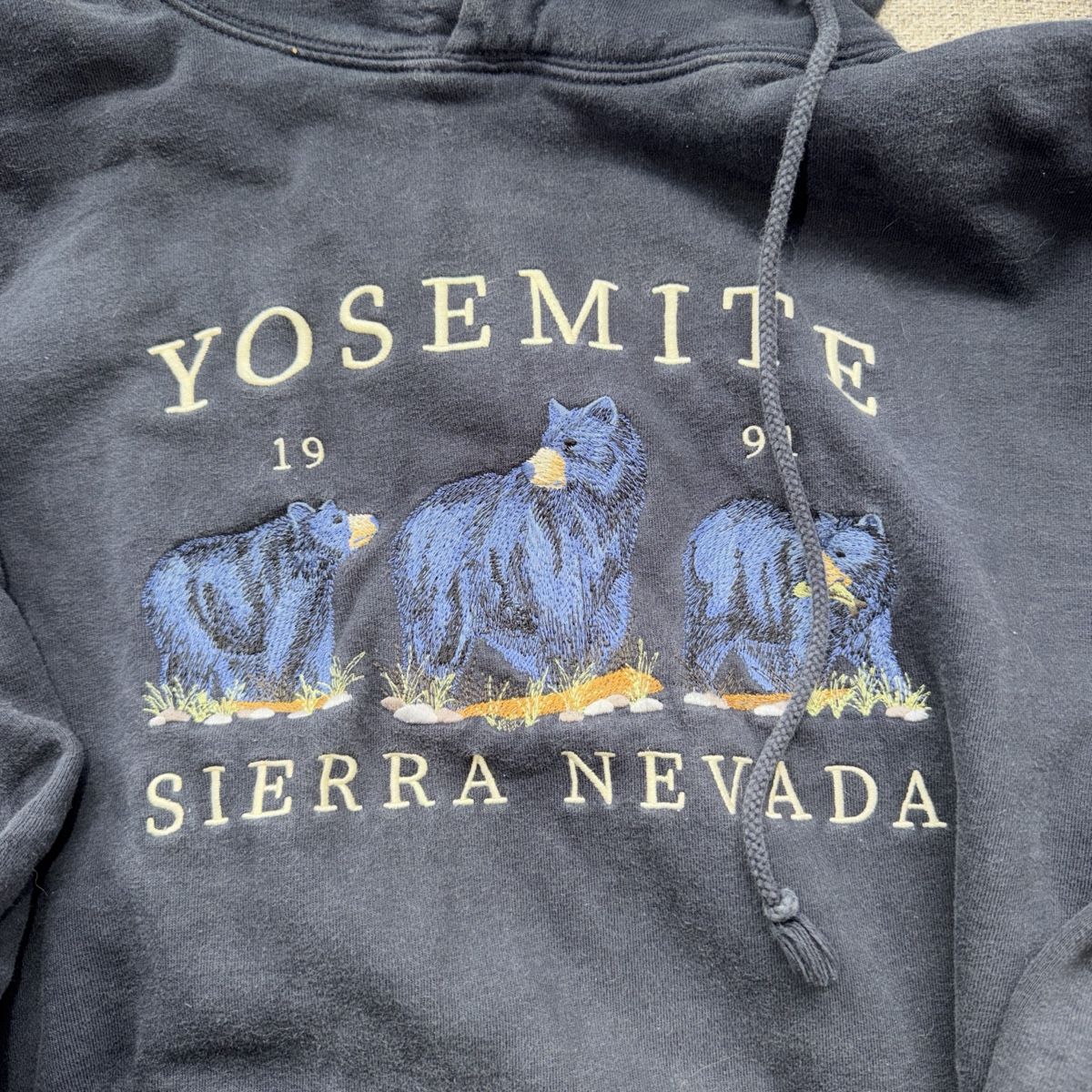 Brandy Melville Maglioni & Felpe: Oversize Hoodie – Usato da Kriens venduto da fiona.law98 1