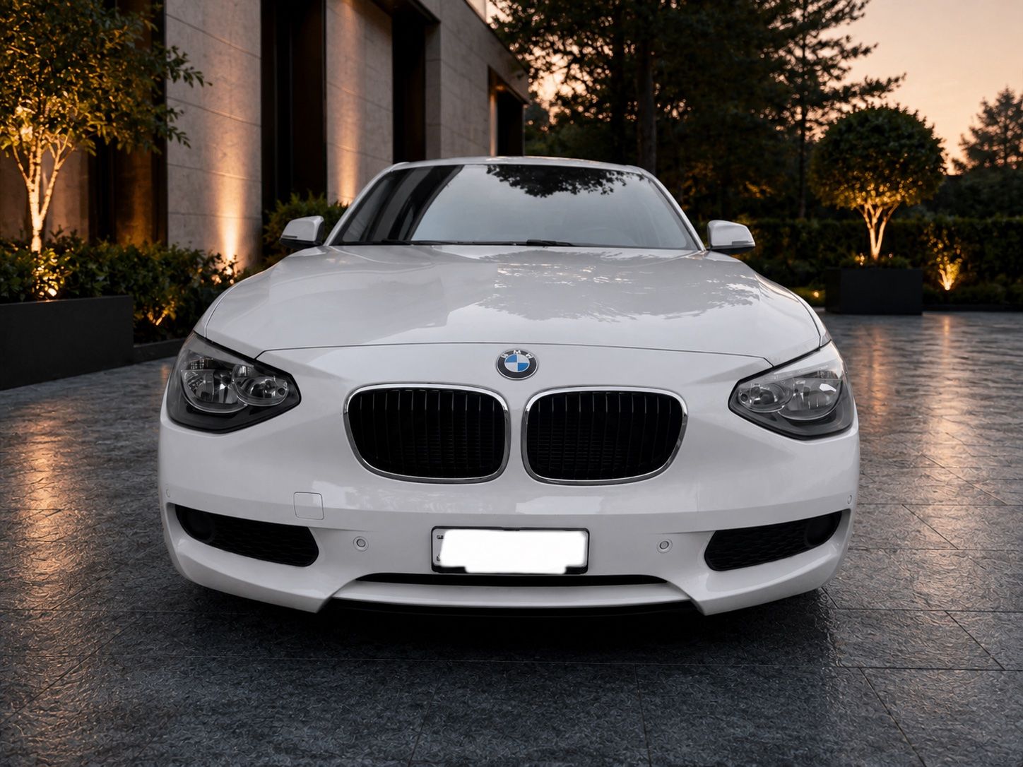 BMW Automobili: BMW 114i  Business – Usato da Kollbrunn venduto da datu80 1