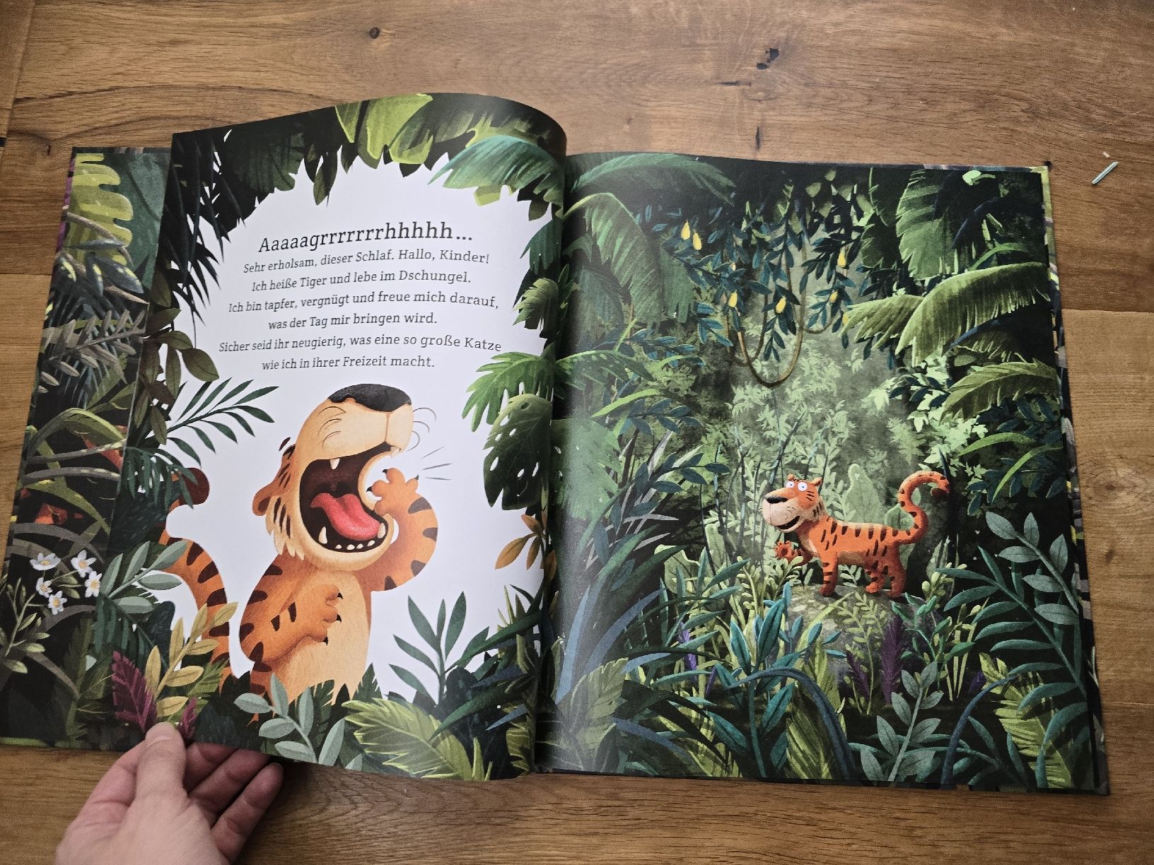 Libri: Der achtsame Tiger - Ein tolles Kinderbuch – Usato da Wittenbach venduto da Tigerlili 2