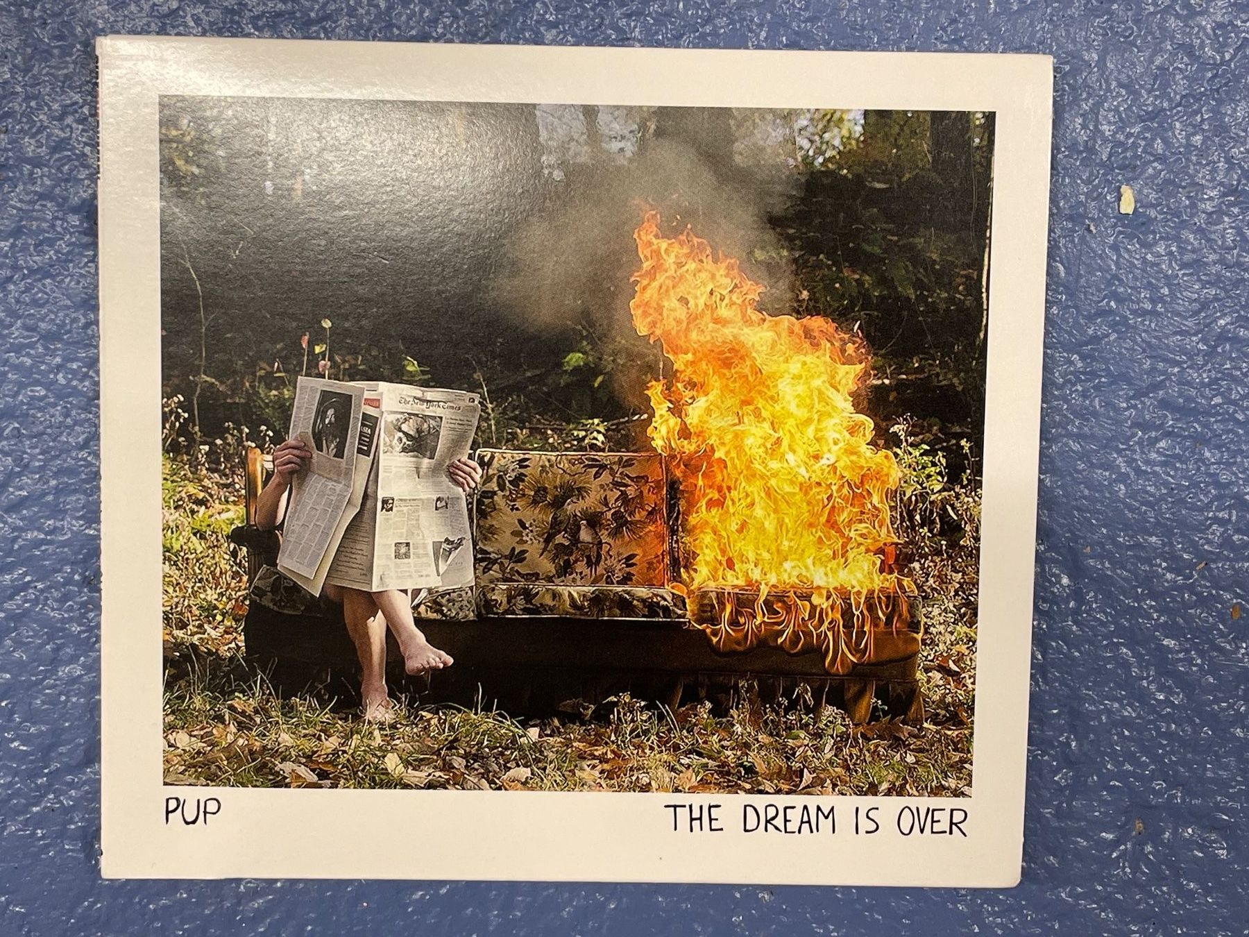 CD: [CD] PUP - The Dream Is Over (2016) – Usato da Frasnacht venduto da DiskSelection