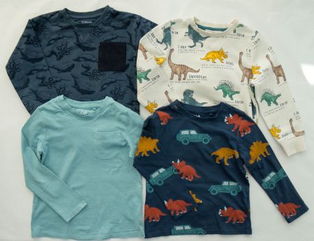 2x Pullover & 2x Langarmshirt Gr.110 - 5 Jahre