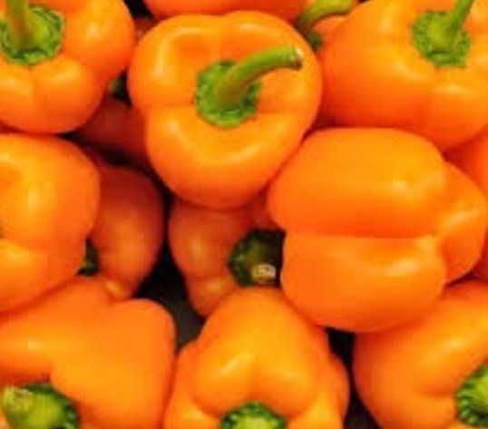 Piante & sementi: 20 Samen Orange "Paprika" Graines Poivron Orange – Nuovo e nell'imballaggio originale da Rovio venduto da POSITIFFARTandPLANTS 3