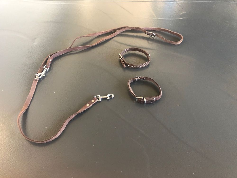Adityna Hundeleine Aus Echtem Leder, 1.8 M, Extra Stark & Weich – Perfekt Für Große & Mittelgroße Hunde (XL, Braun)