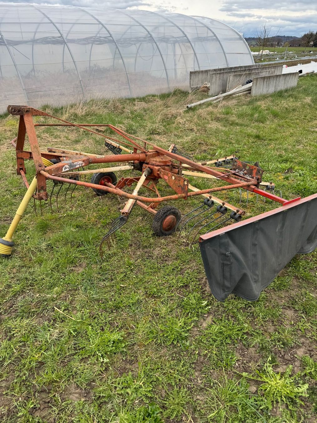 Raccolta foraggio grezzo: Kreiselschwader – Usato da Ried b. Kerzers venduto da Renner011