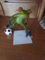 Frosch mit Fussball Formano