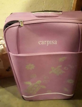 Valise Carpisa