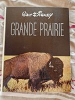 RARE livre Walt Disney Grande Prairie 