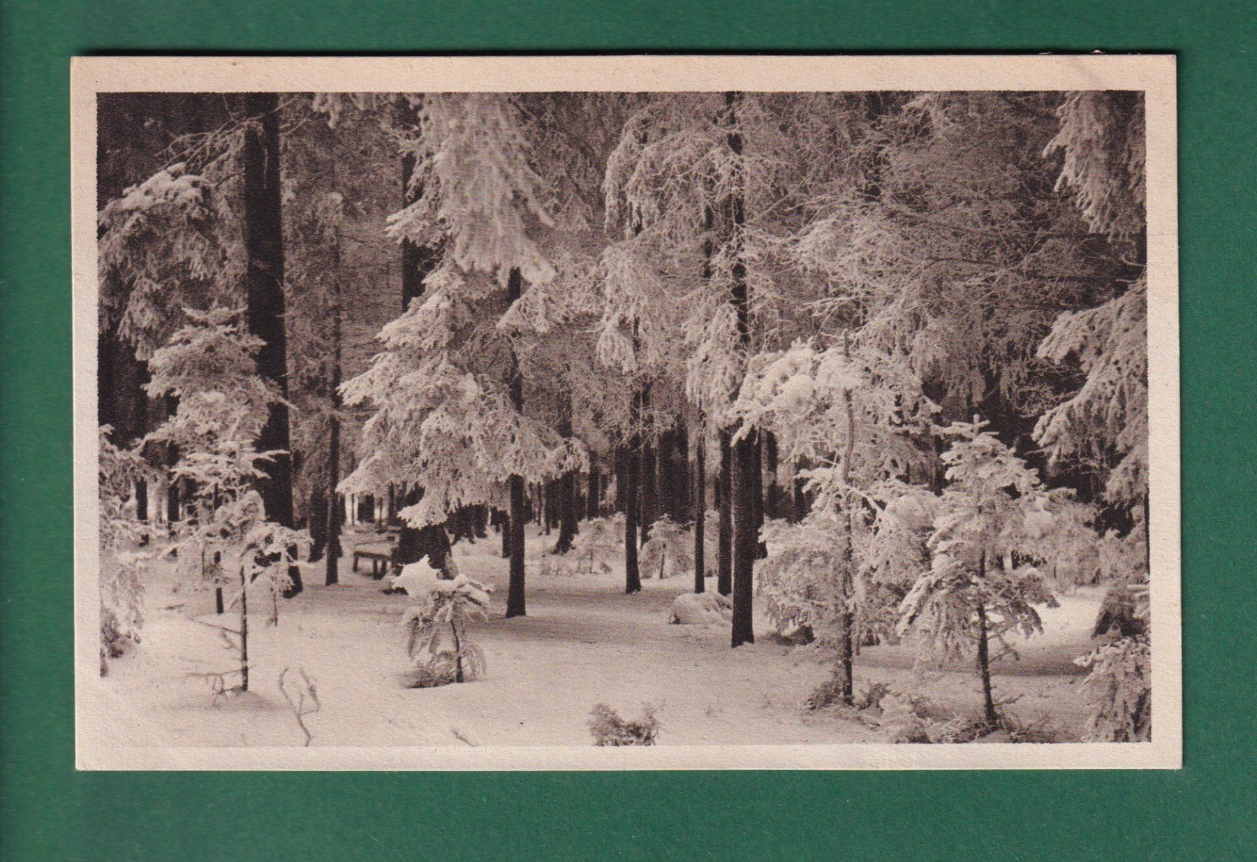 Ansichtskarten: KÖNIGSFELD - Winterwald – Gebraucht aus Pully von nicecards-shop