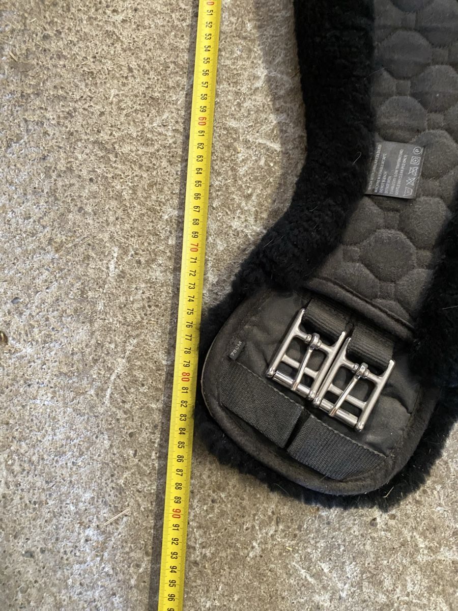 Sattel & Sattelzubehör: Sattelgurt mit Fell – Neu (gemäss Beschreibung) aus Lenggenwil von ale_r8nj 2