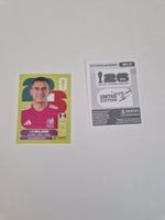 Panini Sticker MEX2