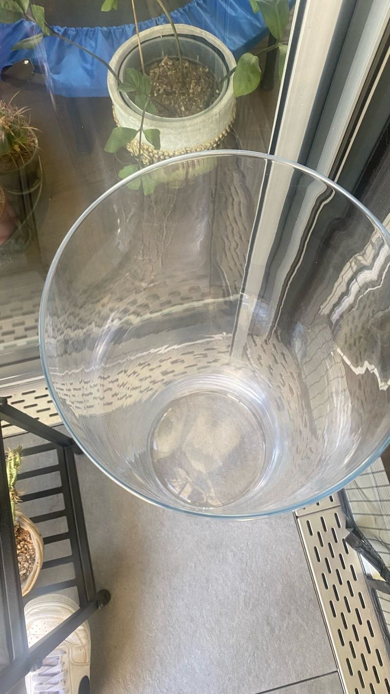 Vasi & Recipienti: Glasvase 80 cm hoch – Usato da Obfelden venduto da Lia-Lia 2