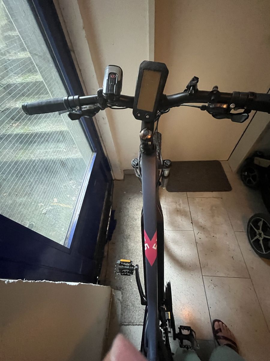Totem Velos: Ebike – Defekt aus Mörschwil von mar_klw6 4
