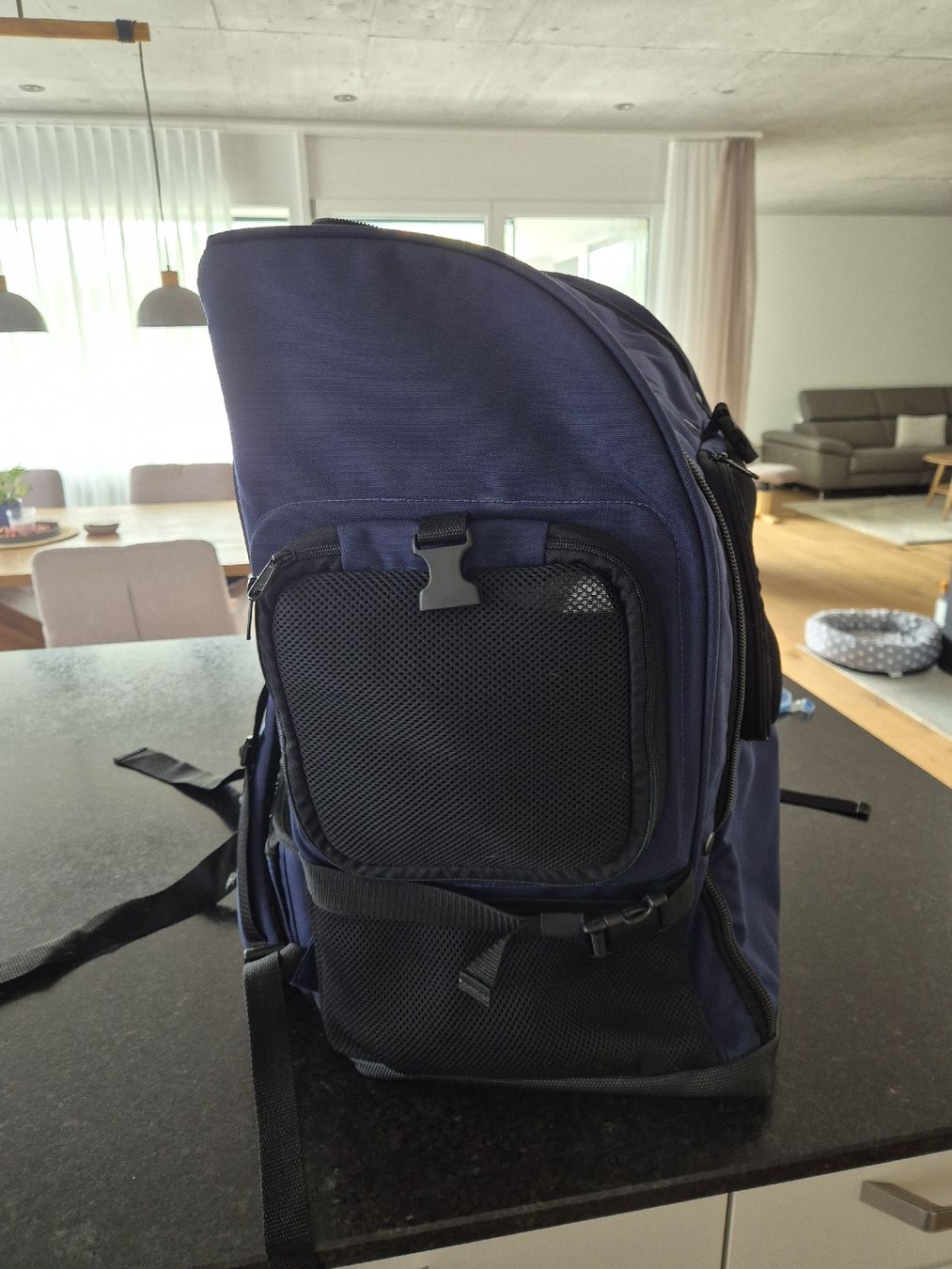 Zaini: Hunderucksack Tarigs – Usato da Aedermannsdorf venduto da Unelly 4