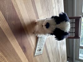 Steiner Germany Border Collie