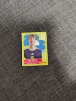 panini SCO 3