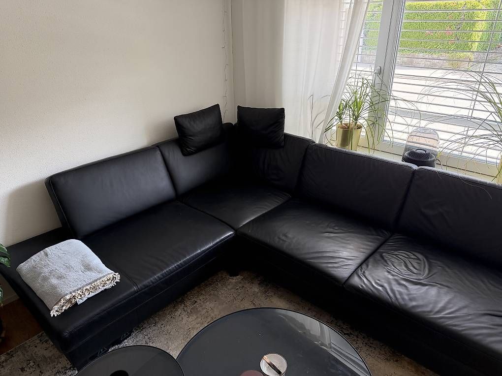 Sofas: Hochwertige Ledercouch L-Form – Gebraucht aus Schlieren von jon_5vsq 2