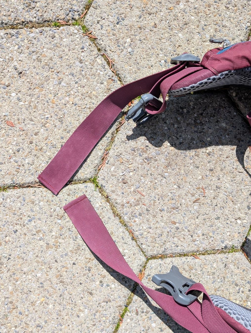 Deuter Marsupi portabebè: deuter Kid Comfort Tragerucksack – Usato da Reichenbach i. K. venduto da 1thomas 5