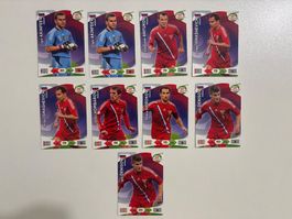 Panini Road to 2014 FIFA World Cup Brazil - Rossija
