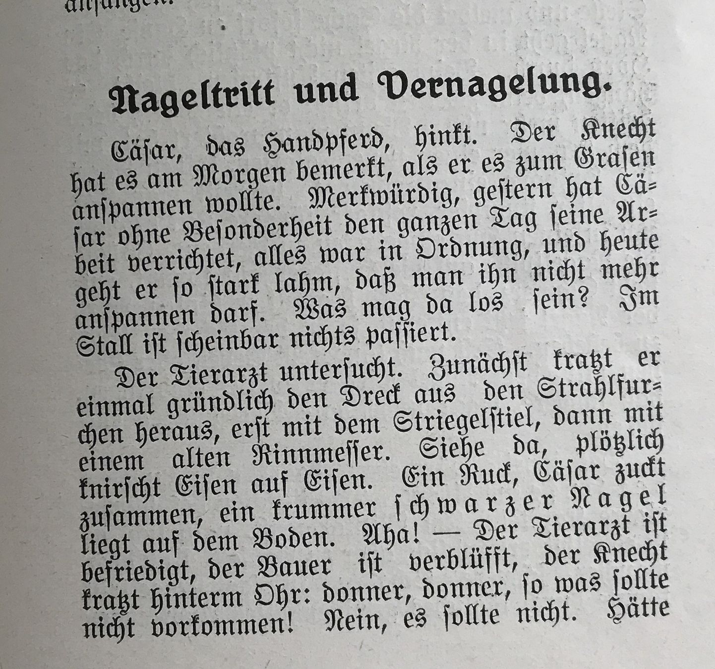 Libri: PFERDEKRANKHEITEN 1937 – Usato da Ostermundigen venduto da Kari1937 7