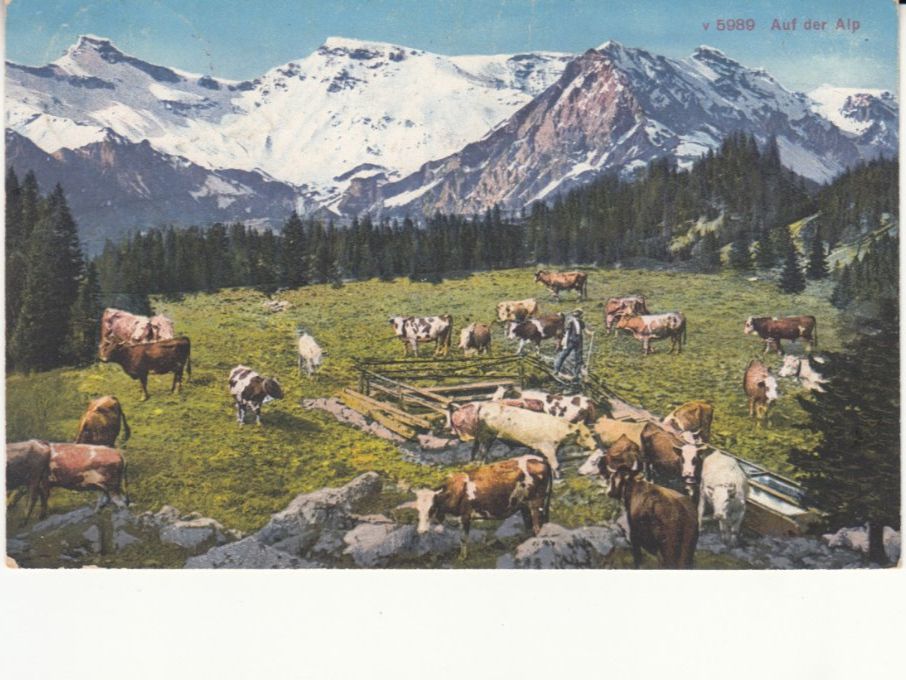 Ansichtskarten: Horboden Diemtigthal 1926 – Gebraucht aus Bürglen TG von StampGraf