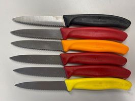 6 Victorinox Messer, 8 cm, diverse Farben