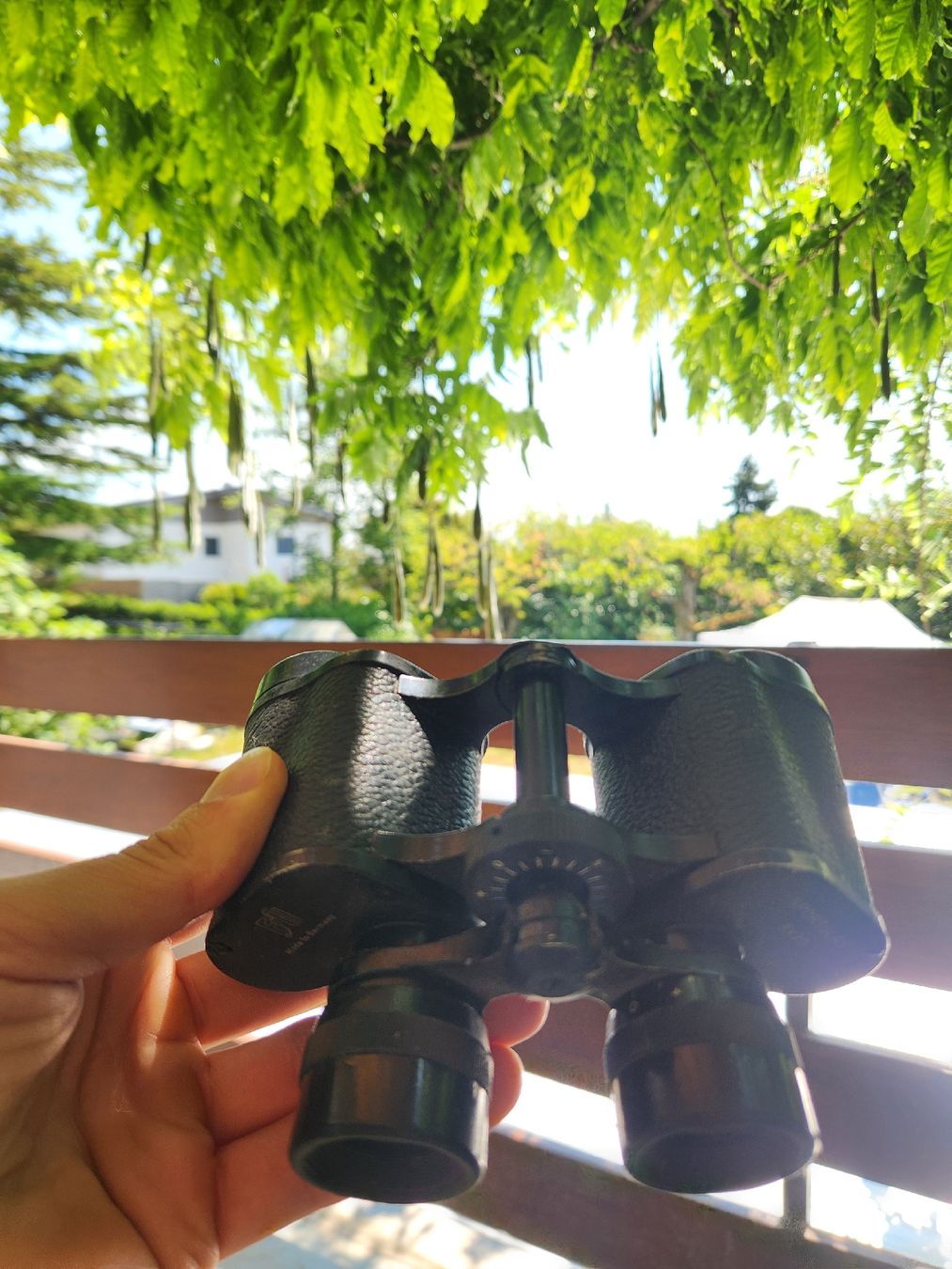 Jumelles: Binoculars Black Brand EWF Used Condition – D'occasion à La Neuveville par Gary.T 2