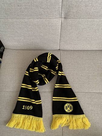 BVB SCHAL