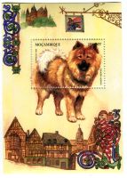 Block "Chow-Chow". Mosambik.