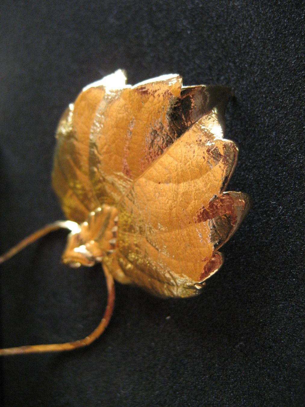 Catenine: Collier doré avec pendentif feuille de vigne, neuf – Nuovo e nell'imballaggio originale da Delémont venduto da marryb