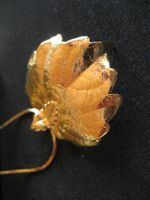Collier doré avec pendentif feuille de vigne, neuf