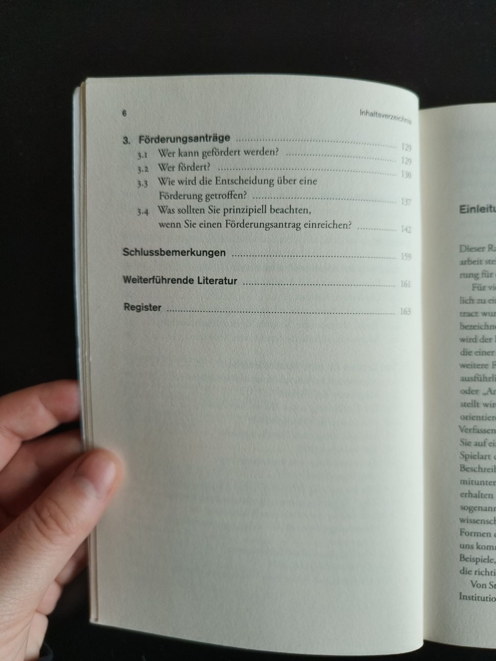 Libri: Buch: Abstract, Exposé und Förderantrag – Usato da Zürich venduto da Anni_Z 2
