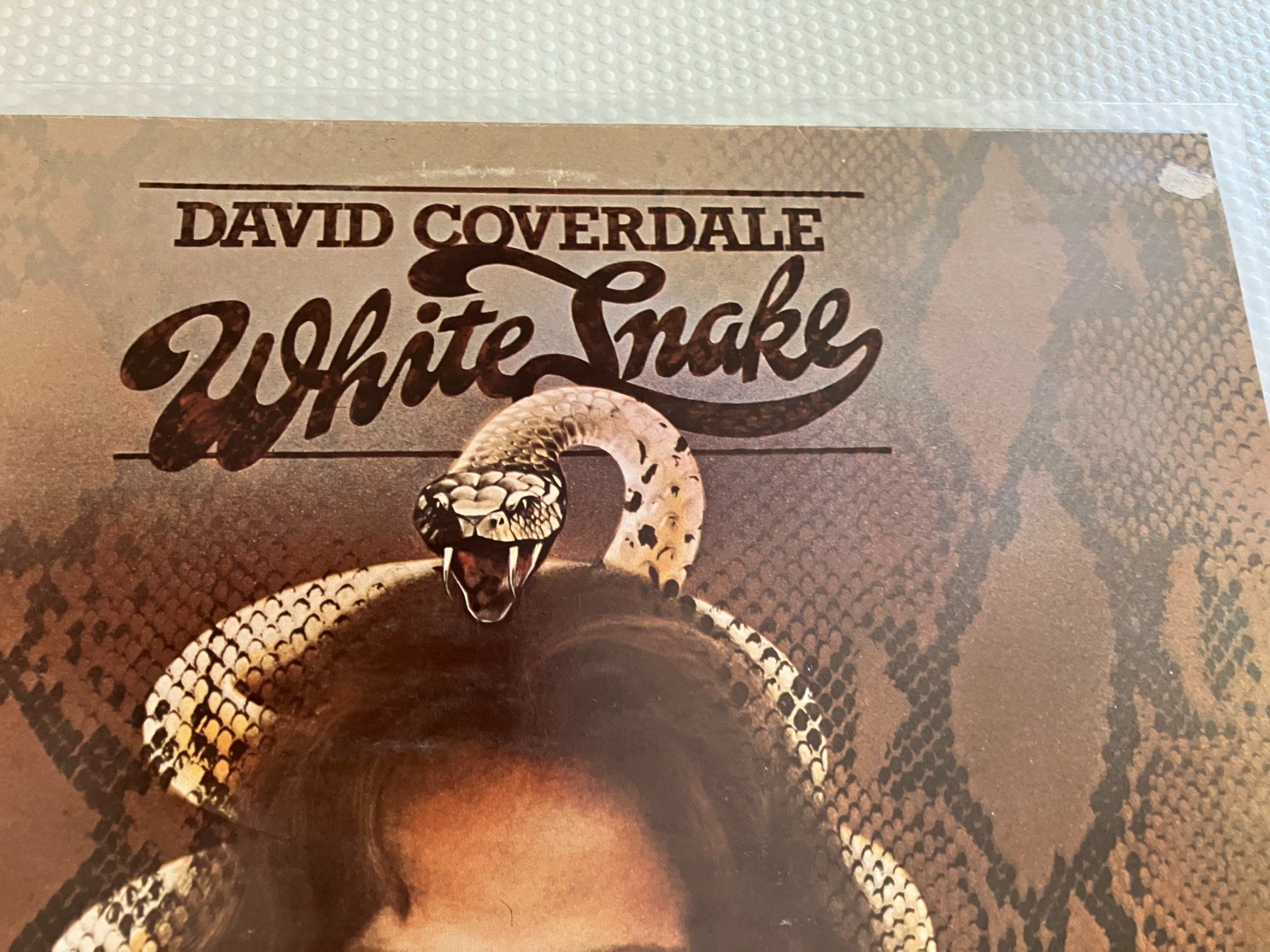 Dischi in vinile: Whitesnake – Usato da Aarwangen venduto da Jukebox3 1