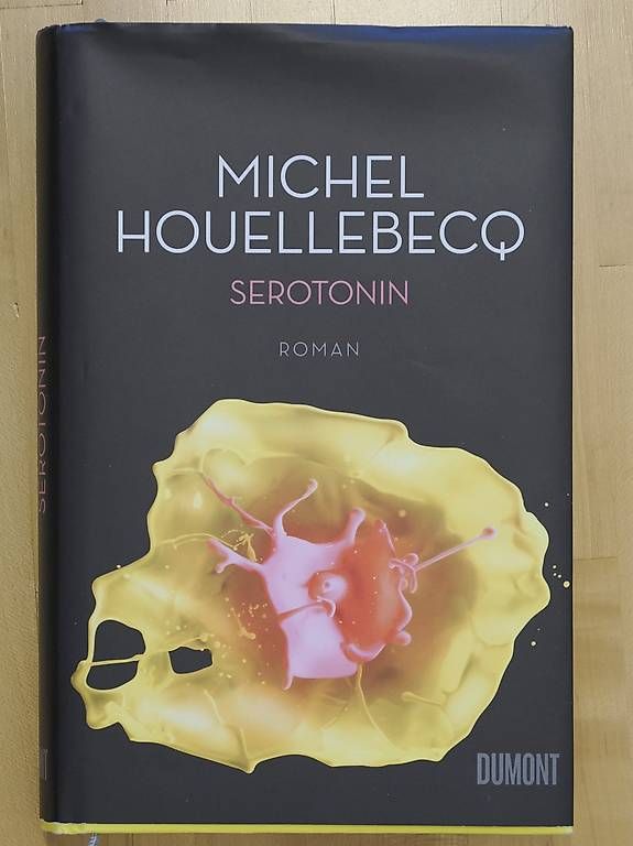 Libri: Serotonin Michel Houellebecq – Usato da JONA venduto da gjp
