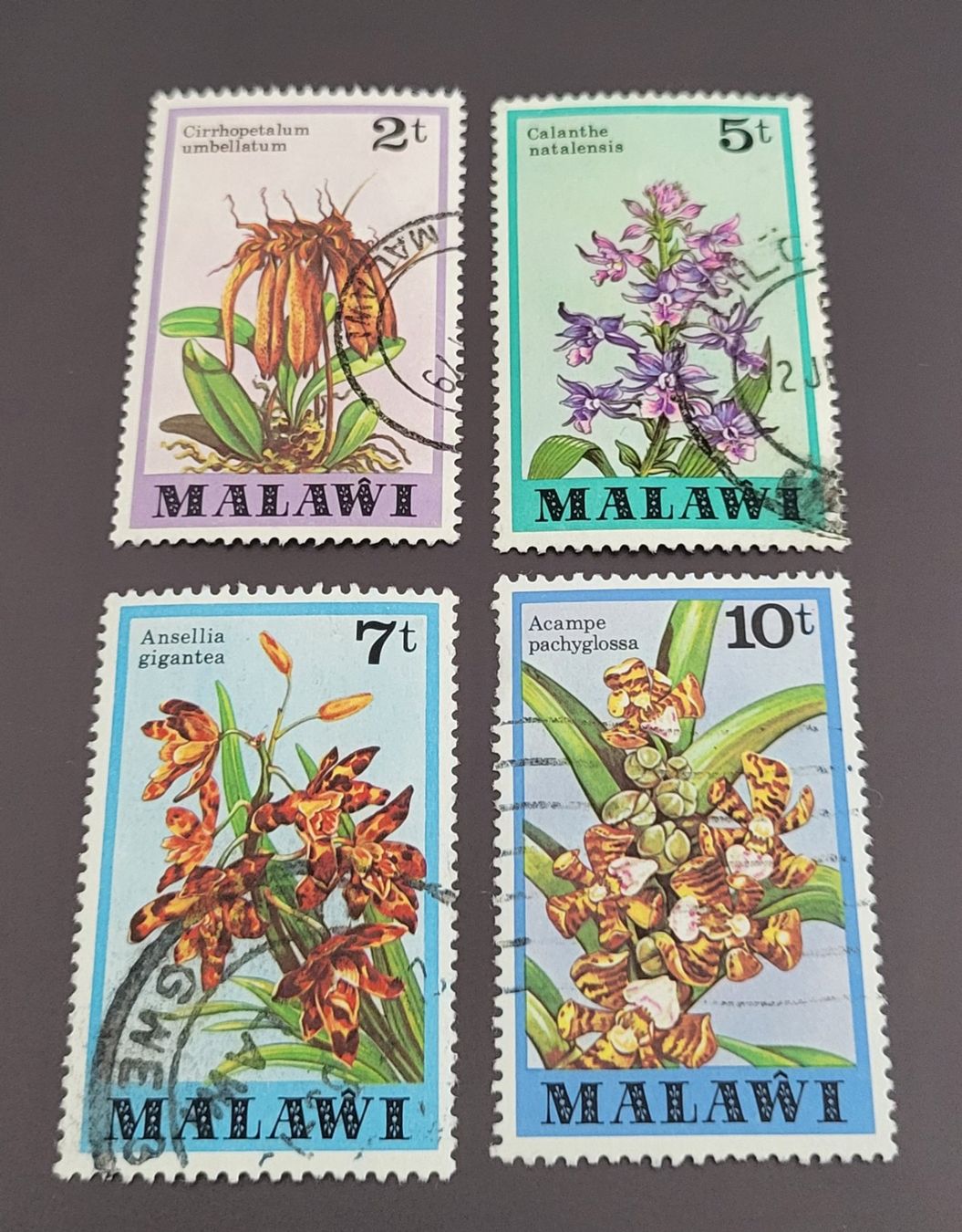 Tutti i francobolli: Malawi motiv Blumen briefmarken A017 – Usato da St Gallen venduto da Stampsalshobby