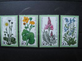 Berlin 1977 Wiesenblumen **