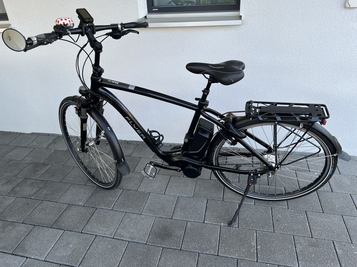 Flyer Biciclette: Flyer e-Bike – Usato da Derendingen venduto da AABB 2