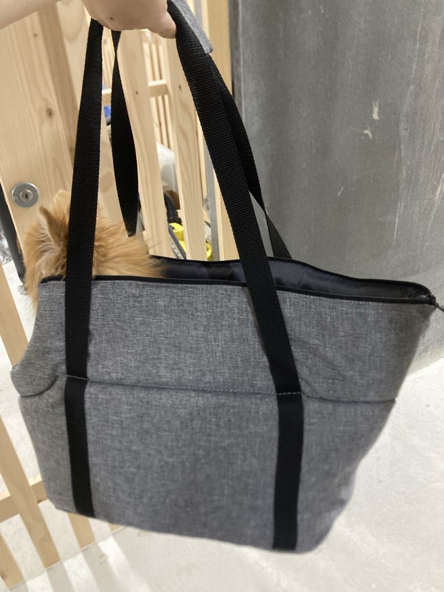 Niches, paniers: Neu! Hundetasche Grau – Neuf (Voir description) à Schlieren par Bella79 4